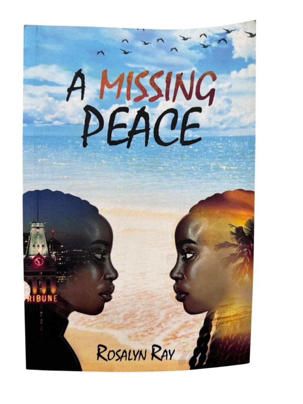A Missing Peace Rosalyn Ray Paperback book Novel Exploring Identity Trauma READ